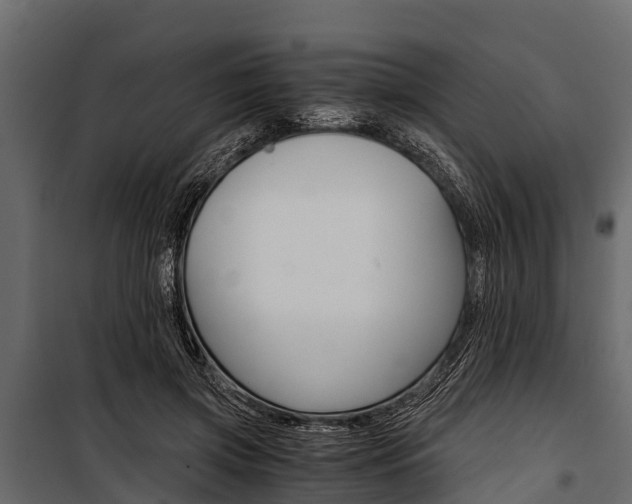 X0000100940549200806241205