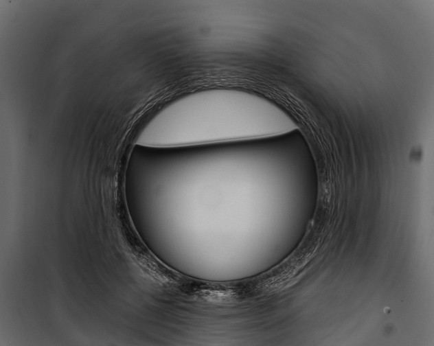 X0000100940552200806241205