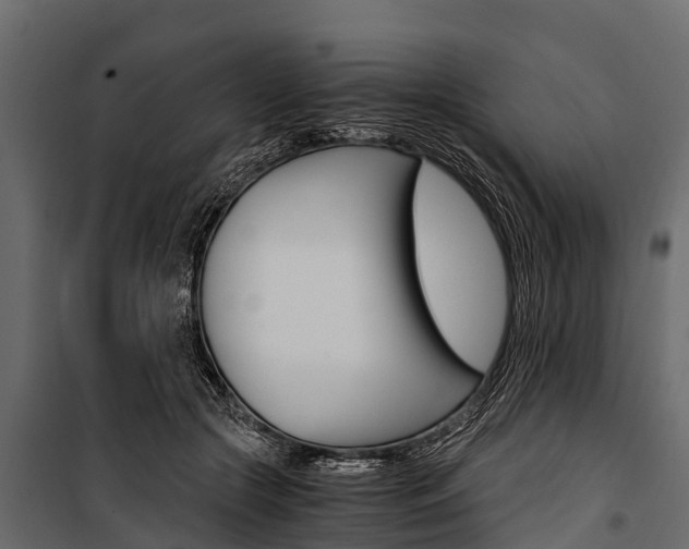 X0000100940553200806241205