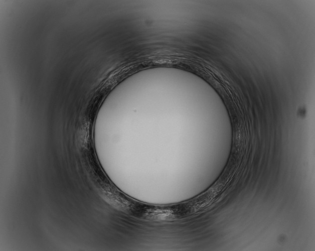 X0000100940554200806241205