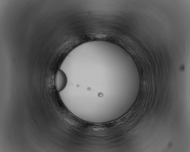 X0000100940555200806241205