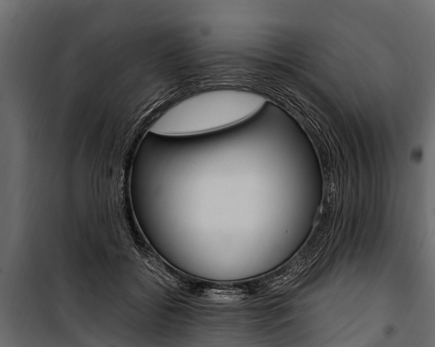 X0000100940556200806241205