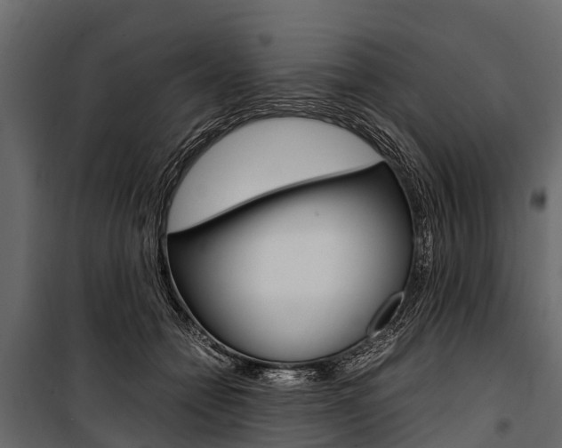 X0000100940558200806241205