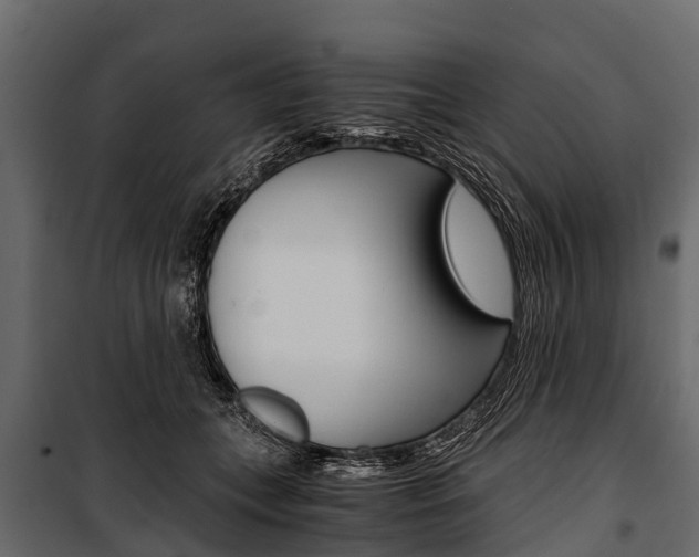 X0000100940559200806241205