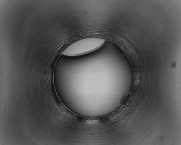 X0000100940560200806241205
