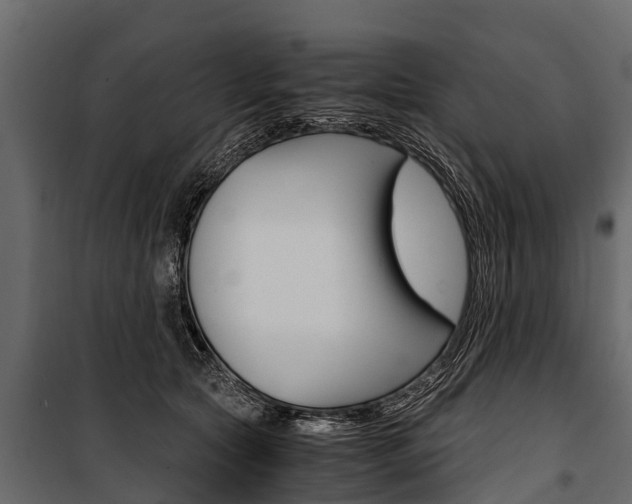 X0000100940561200806241205