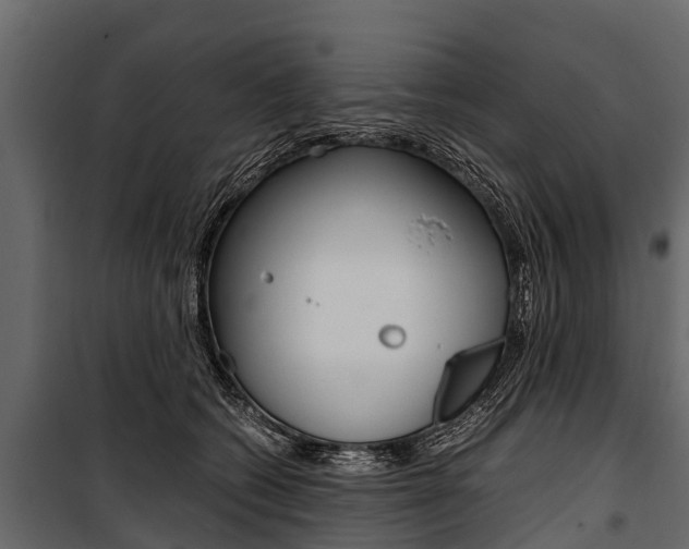 X0000100940562200806241205