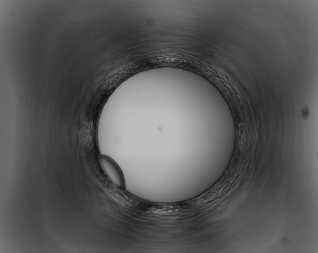 X0000100940563200806241205