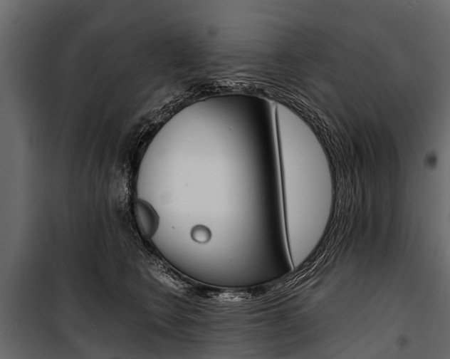 X0000100940566200806241205