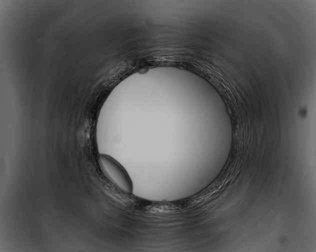 X0000100940567200806241205