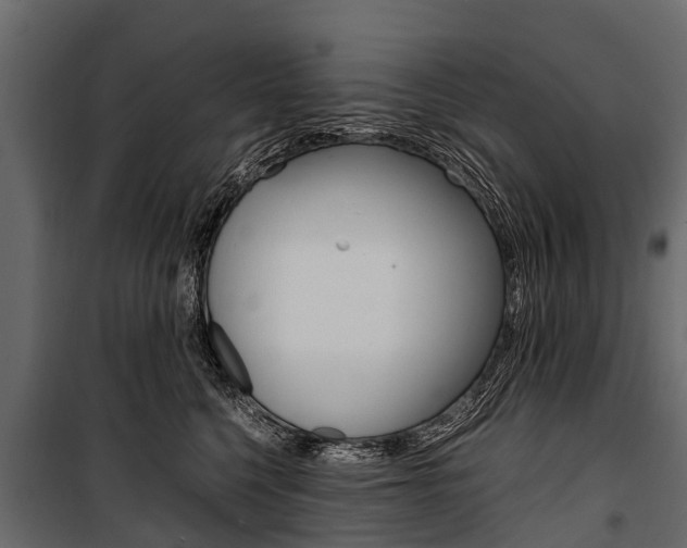 X0000100940568200806241205