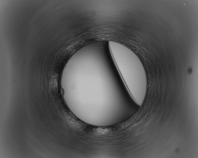 X0000100940570200806241205