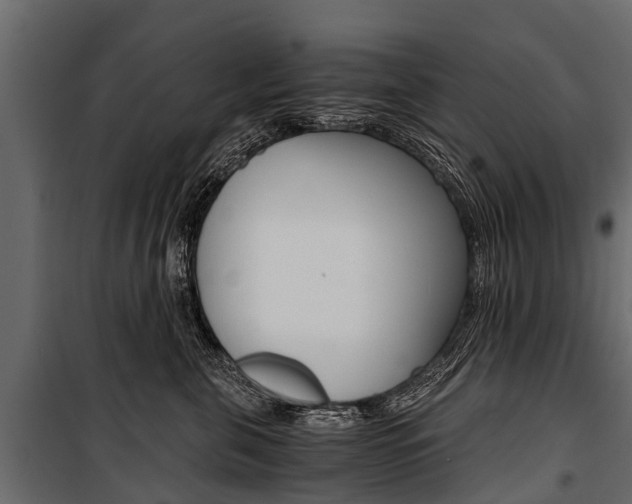 X0000100940571200806241205