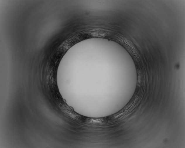 X0000100940573200806241205