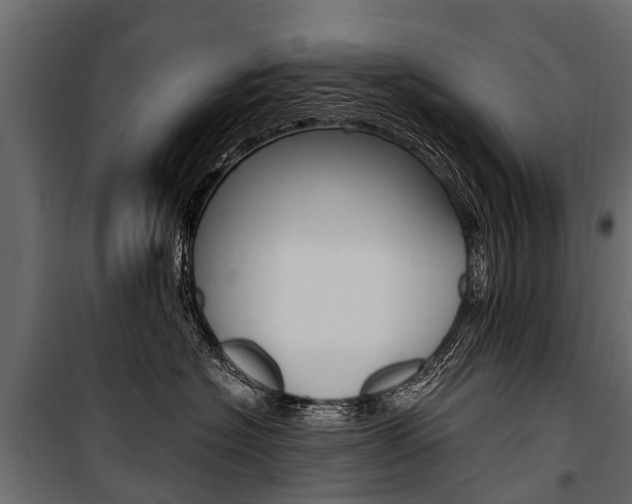 X0000100940574200806241205