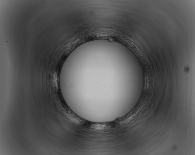 X0000100940575200806241205