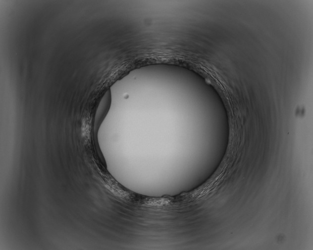 X0000100940576200806241205