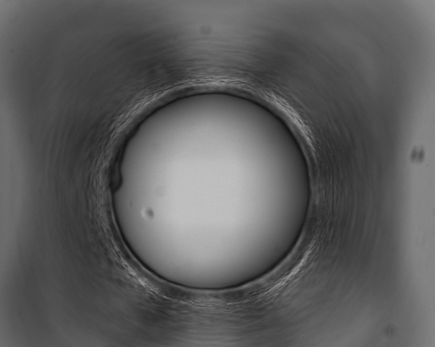 X0000100940577200806241204