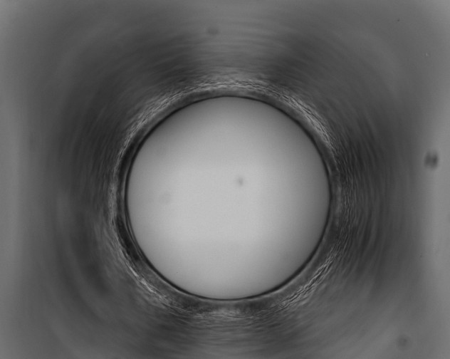 X0000100940578200806241204