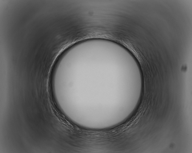 X0000100940579200806241204