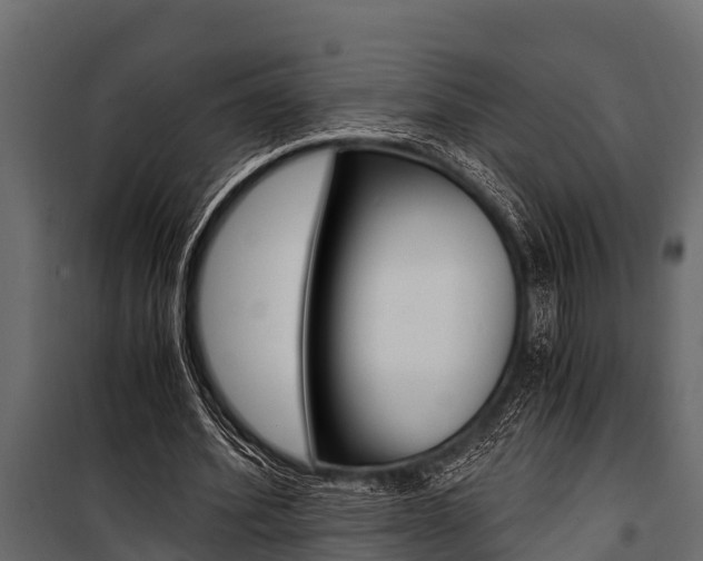 X0000100940580200806241204