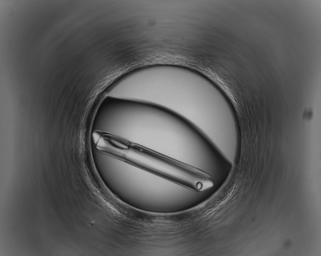 X0000100940581200806241204