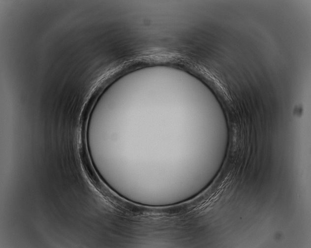 X0000100940582200806241204