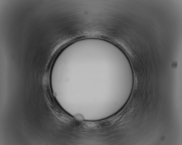X0000100940583200806241204
