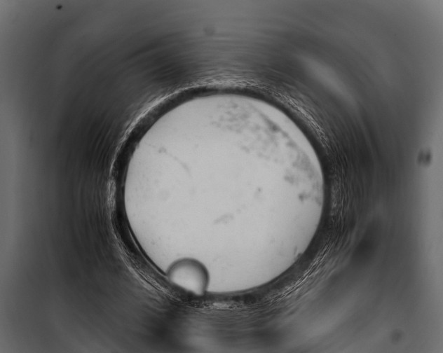 X0000100940584200806241204