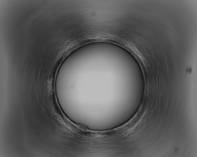 X0000100940585200806241204