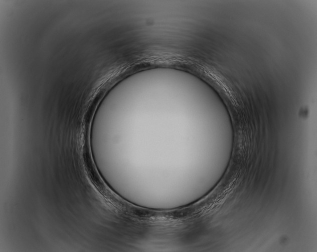 X0000100940586200806241204