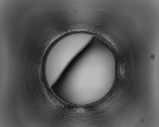 X0000100940588200806241204