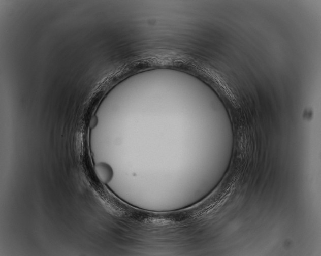 X0000100940590200806241204