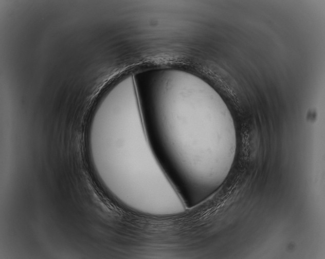 X0000100940592200806241204