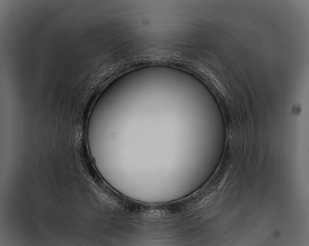 X0000100940593200806241204