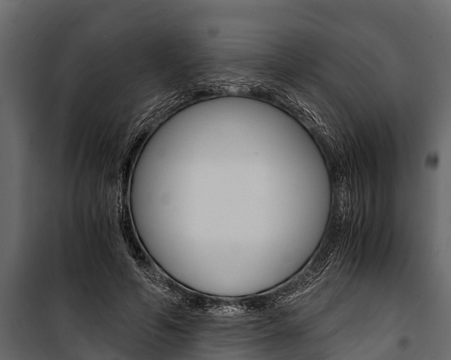 X0000100940594200806241204