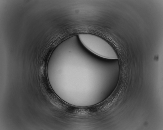 X0000100940597200806241204