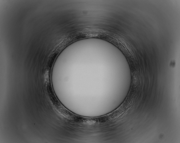 X0000100940598200806241204