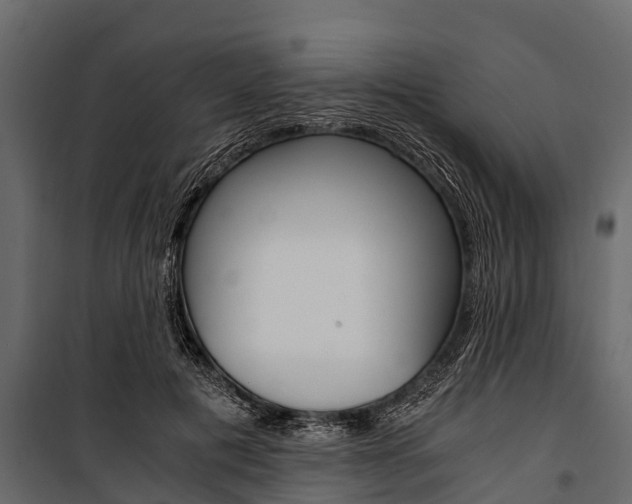 X0000100940601200806241204