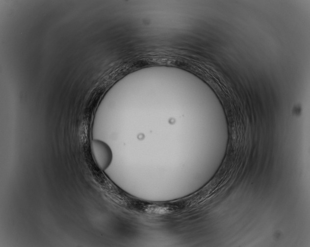 X0000100940602200806241204