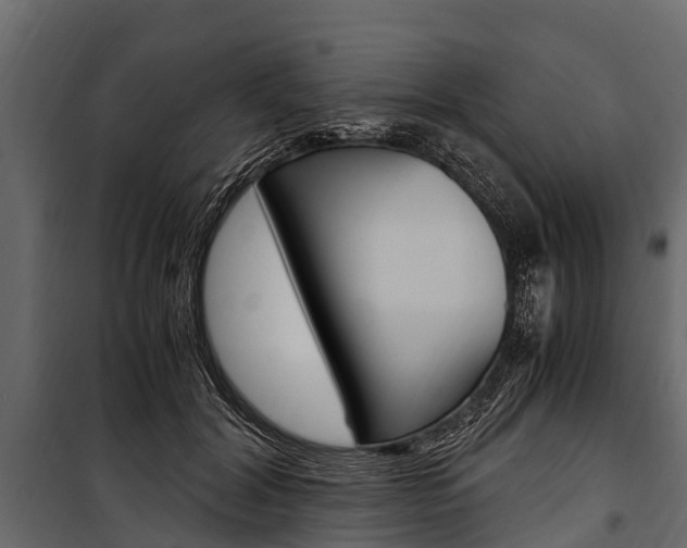 X0000100940604200806241204