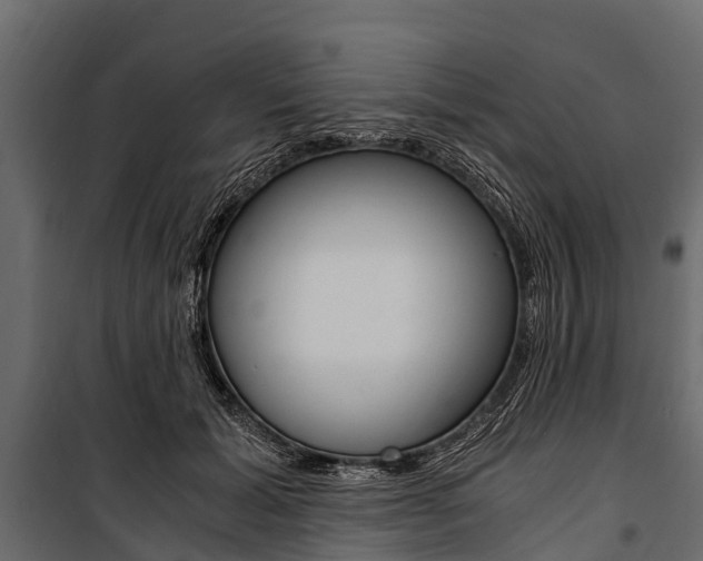 X0000100940605200806241204