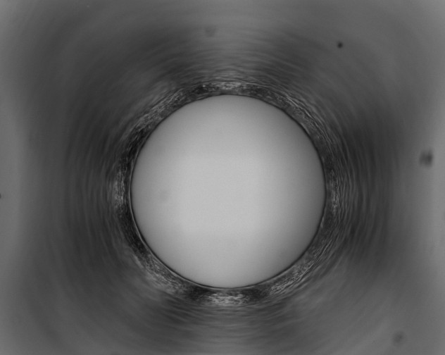 X0000100940606200806241204