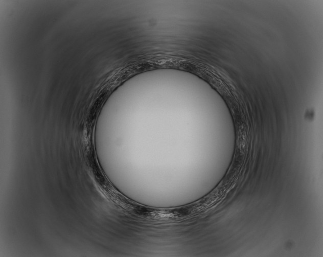 X0000100940607200806241204