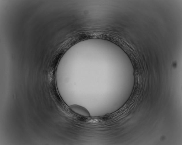 X0000100940611200806241204