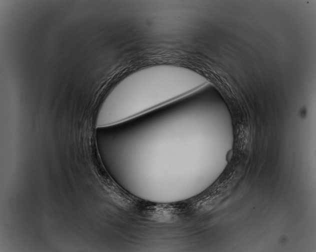 X0000100940612200806241204