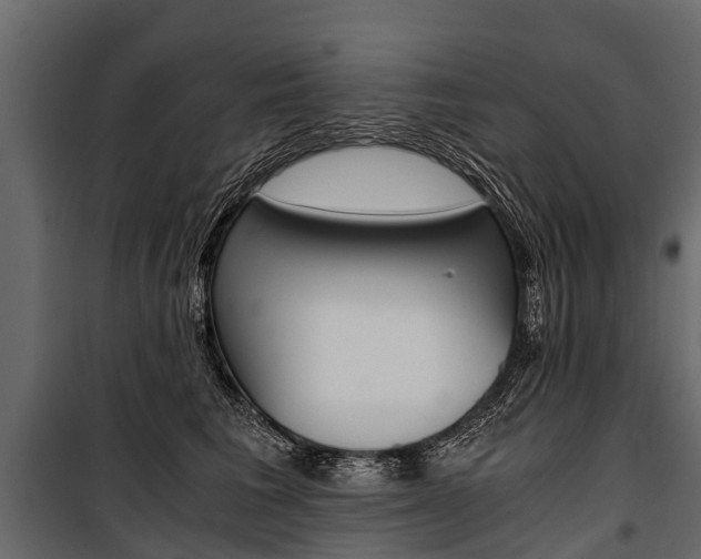 X0000100940613200806241204