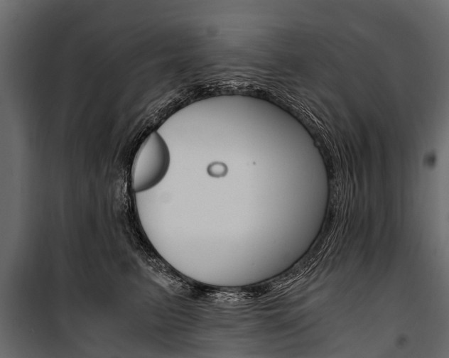 X0000100940615200806241204