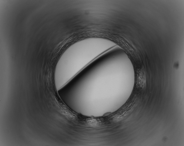 X0000100940616200806241204