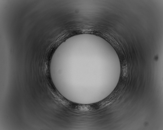 X0000100940618200806241204